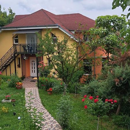 Hotel Casa Liana Oradea Exterior foto